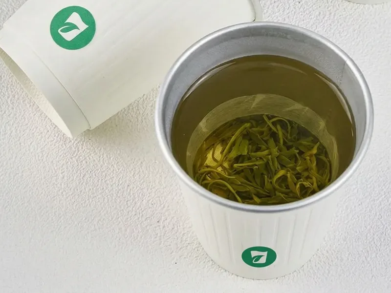 InfuCup Premium Black Tea 02Green Tea Cup